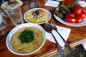 Агроусадьба Соколиный хутор, Качановка
